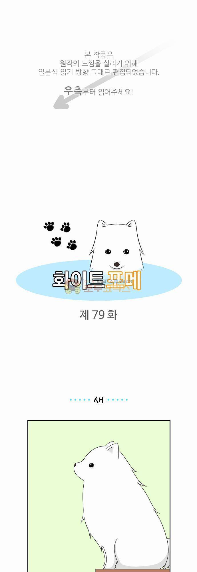 화이트 포메 79화 - 짧은 이야기4 1