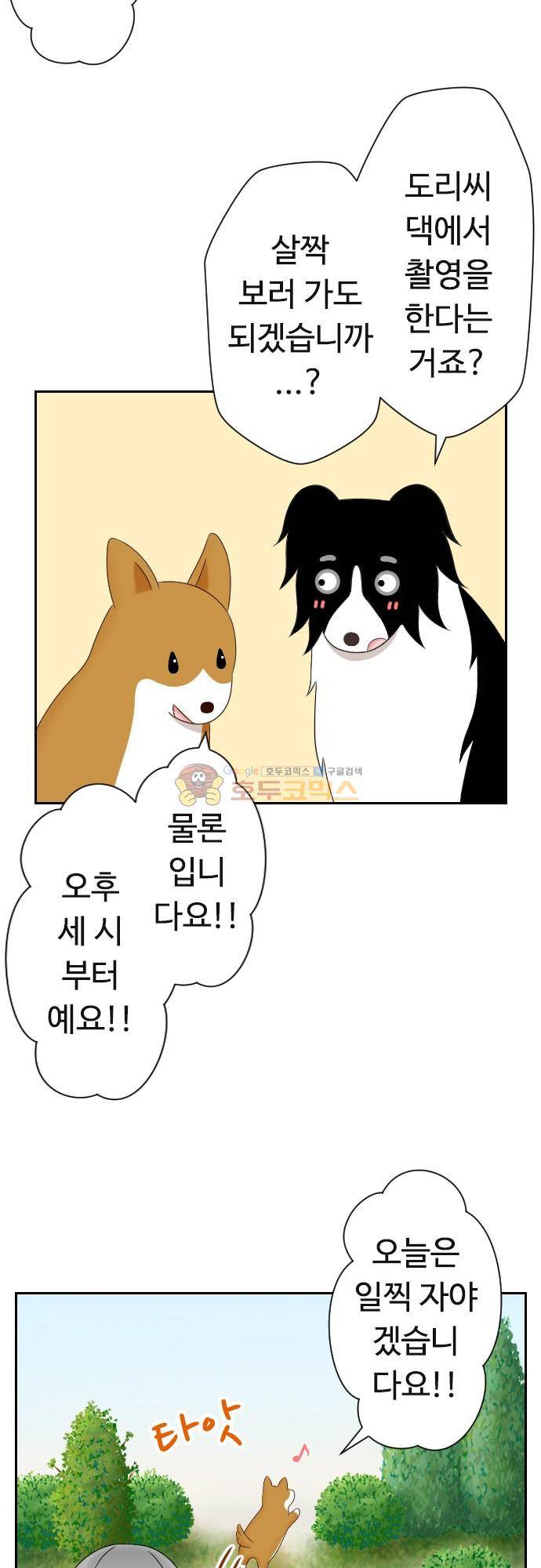 화이트 포메 140화 - 동물 방송 3