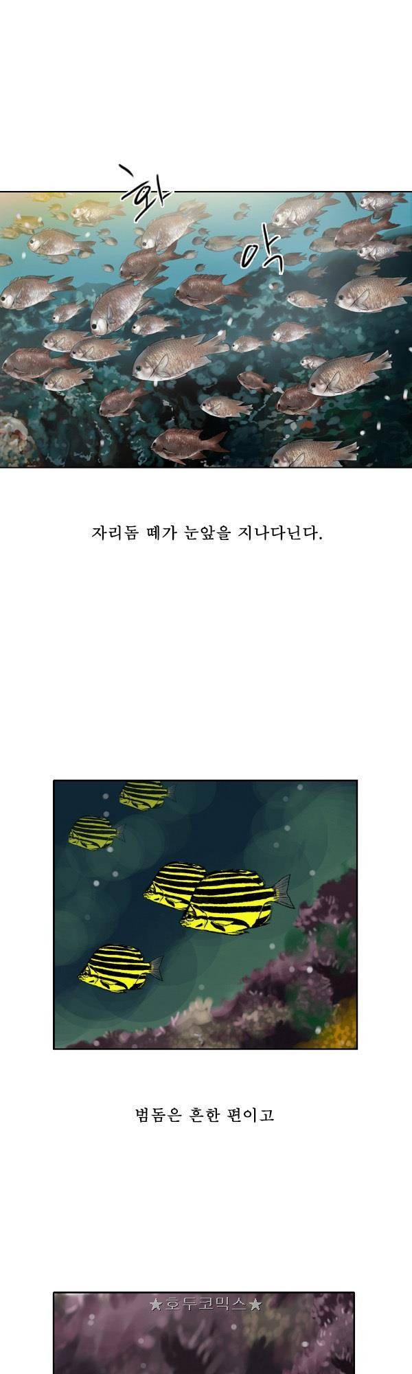 100cc - 짧은 제주 이야기 (7) 12