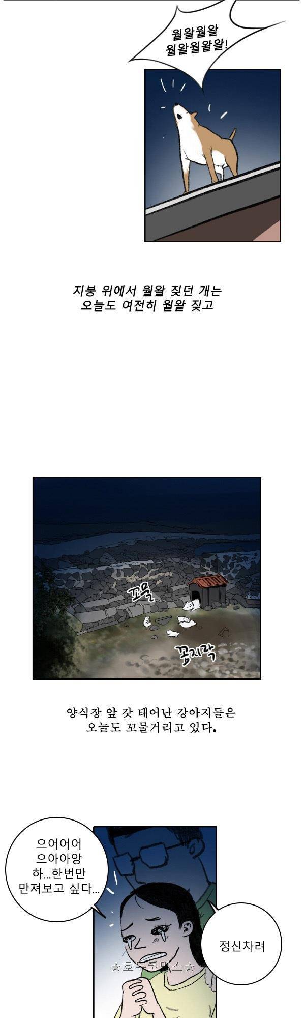 100cc - 짧은 제주 이야기 (9) 7