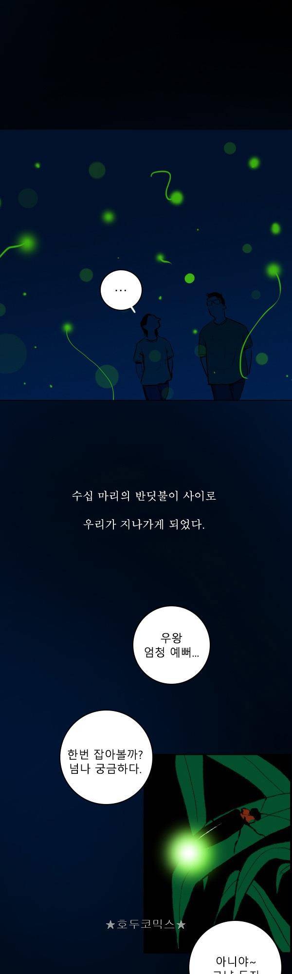 100cc - 짧은 제주 이야기 (9) 19