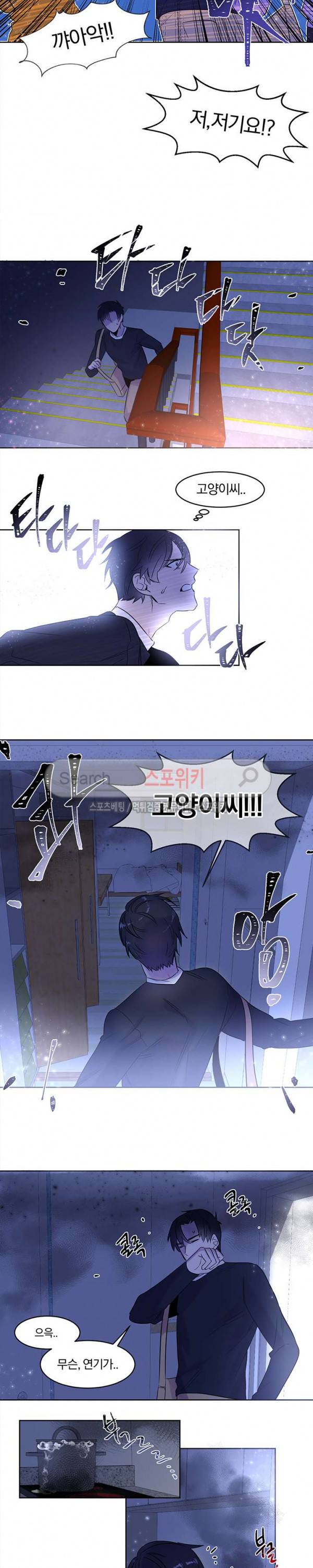 골판지 상자 안 고양이씨 6화 3