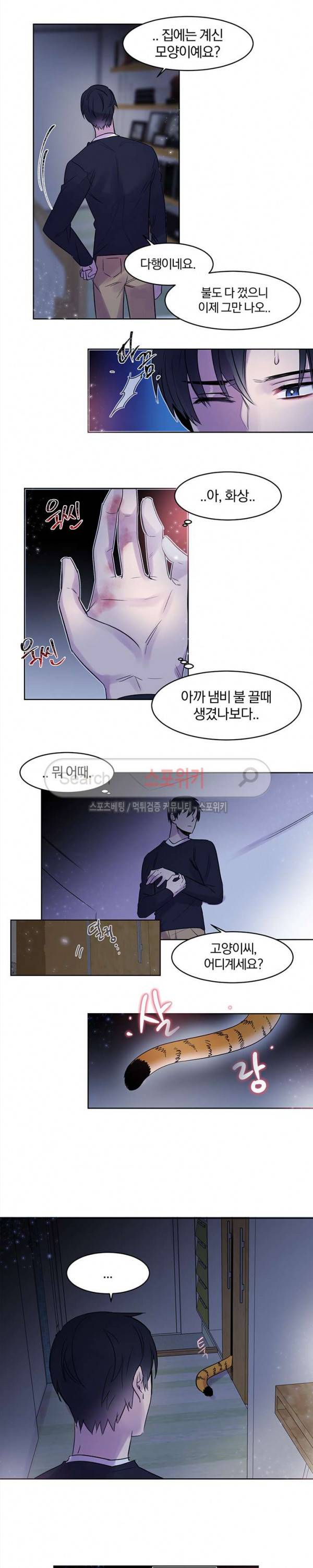 골판지 상자 안 고양이씨 6화 7