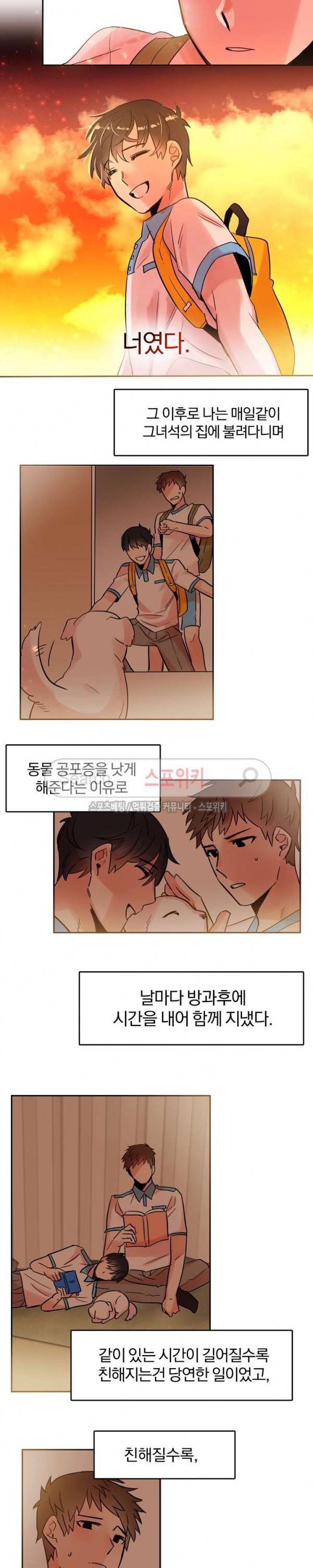 골판지 상자 안 고양이씨 16화 10