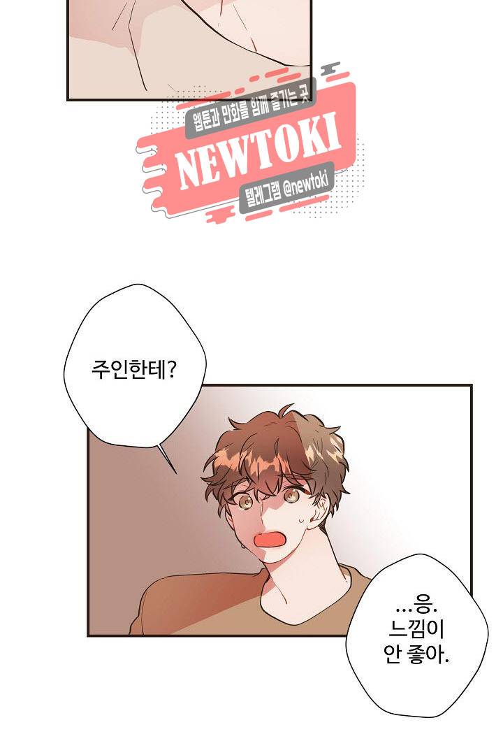 멍멍냥냥 59화 57