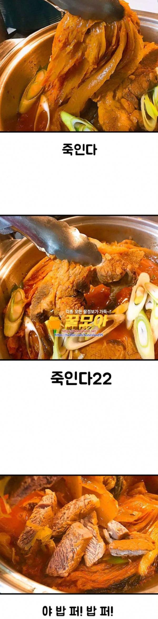 웅이는 배고파 136 우리집 김치가 미쳤어요 15