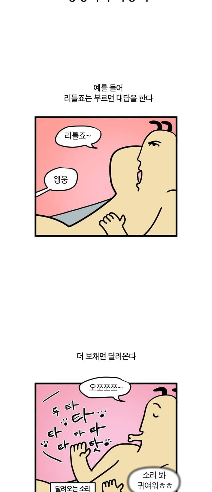 모죠의 일지 84화 멍멍이와 야옹이 3
