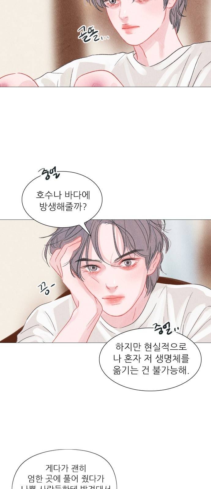 신비 3화 3