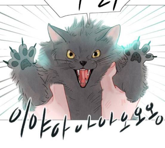 신비 13화 44