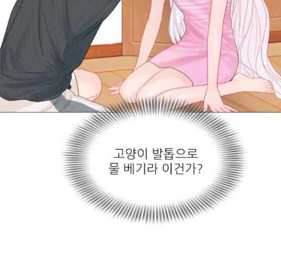 신비 13화 65