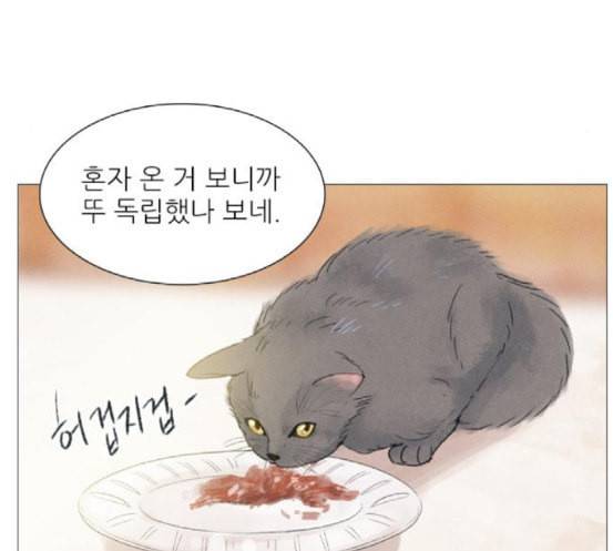 신비 13화 76