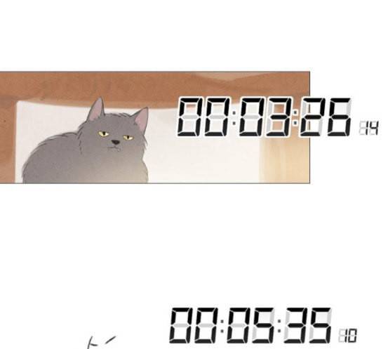 신비 13화 93