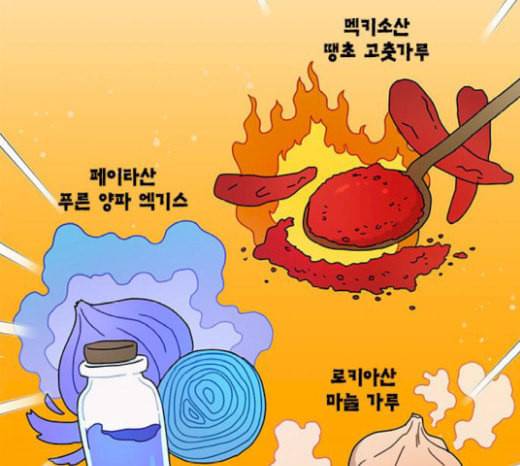 용왕님의 셰프가 되었습니다 13화 6