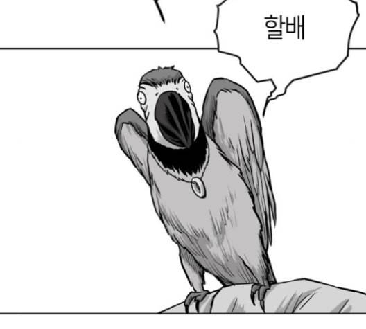 앵무살수 23화 29