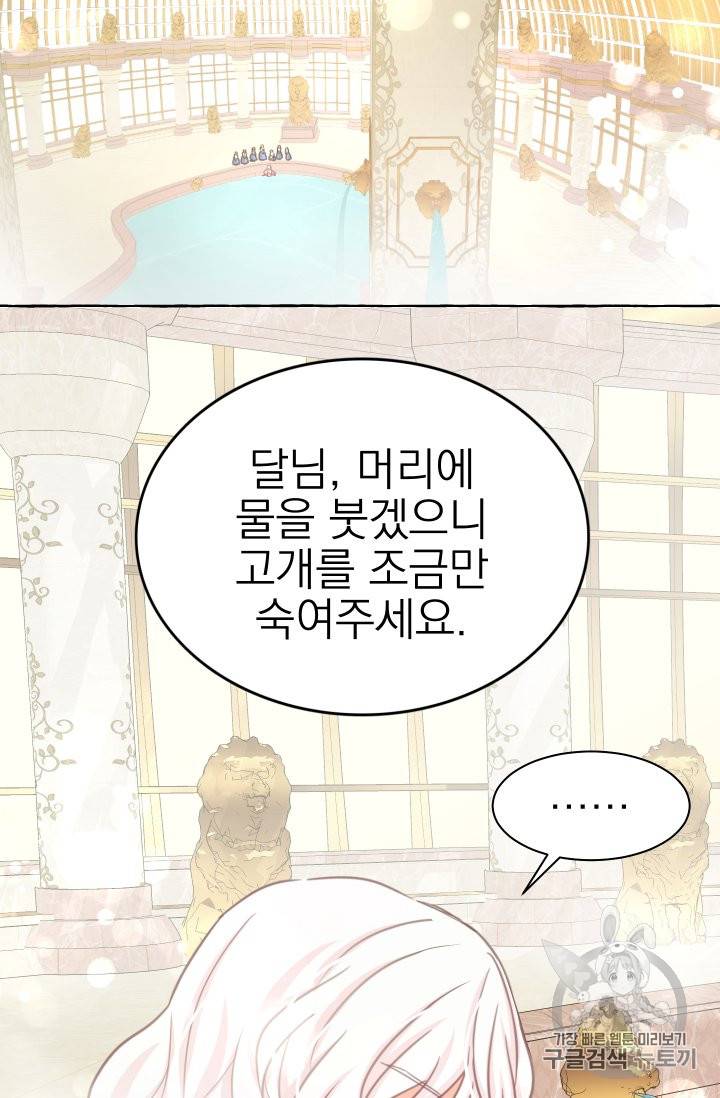 황비님의 비밀수업 24화 11