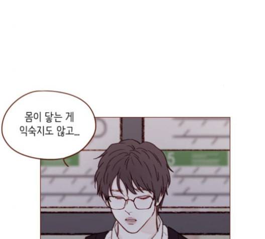 홍시는 날 좋아해 123화 55