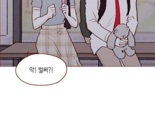 홍시는 날 좋아해 123화 72