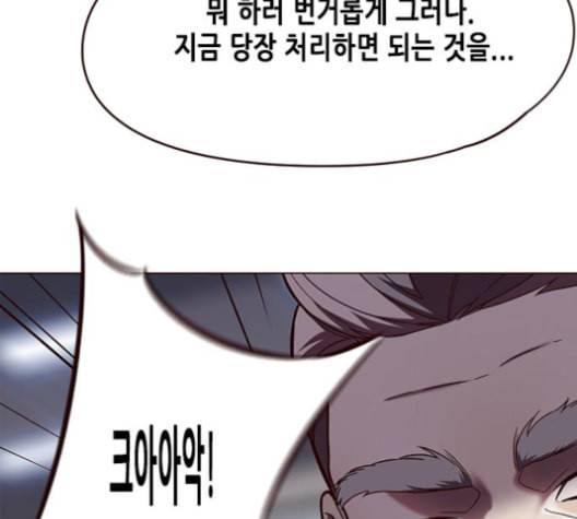 일렉시드 96화 132