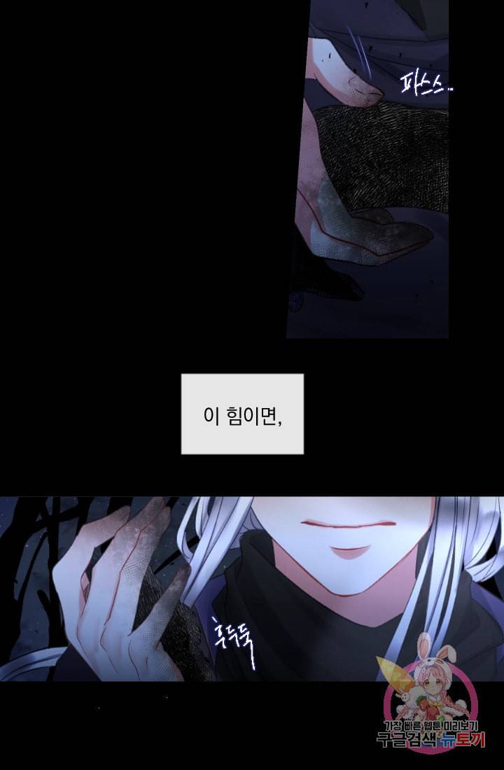 은의 공녀 까마귀 공녀 31화 숨겨진 힘 41