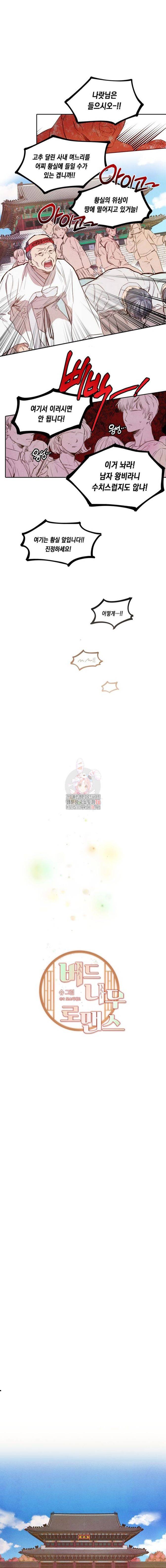 버드나무 로맨스 1화 1