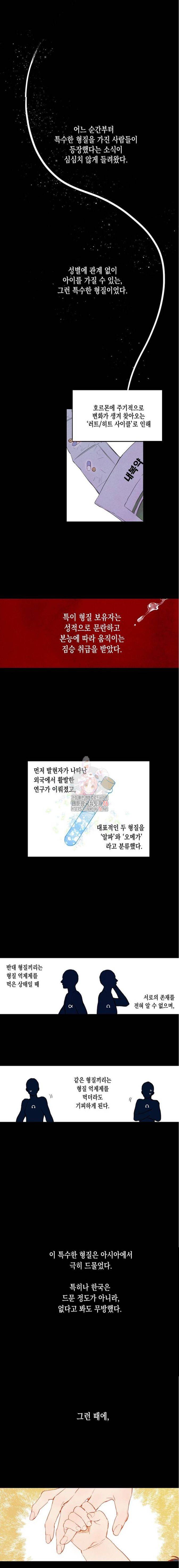 버드나무 로맨스 1화 3