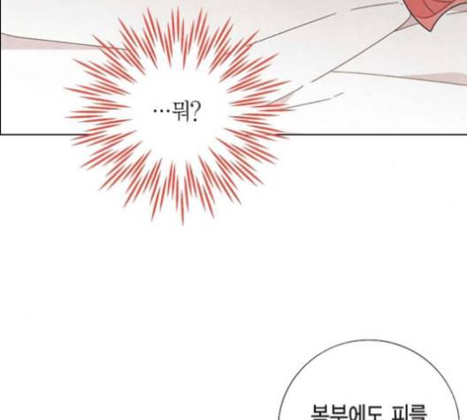 남주의 첫날밤을 가져버렸다 16화 16