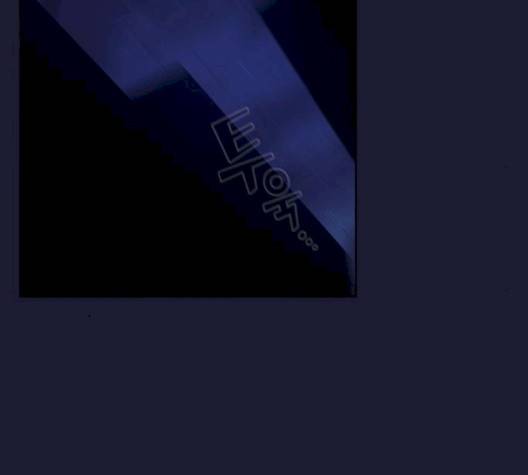 튜토리얼 탑의 고인물 28화 225