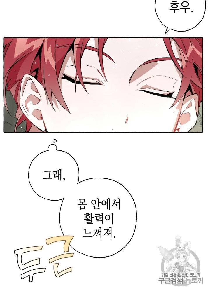 백작가의 망나니가 되었다 27화 12