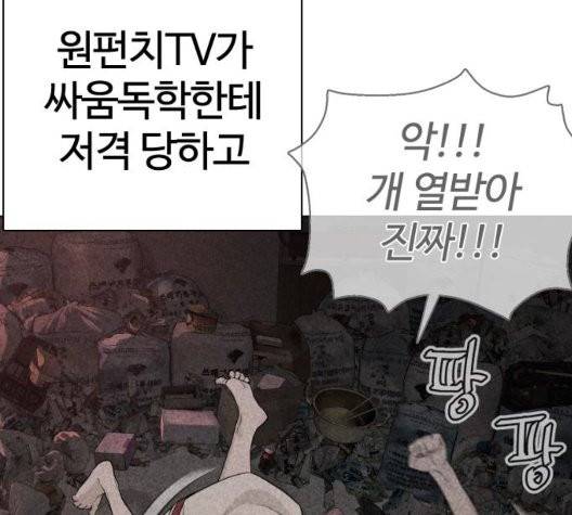 싸움독학 51화 24