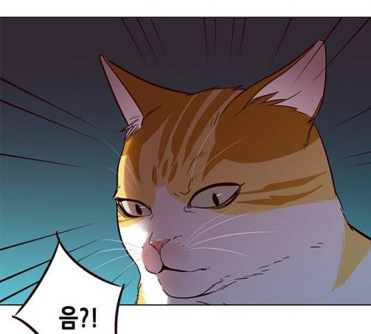 일렉시드 110화 107