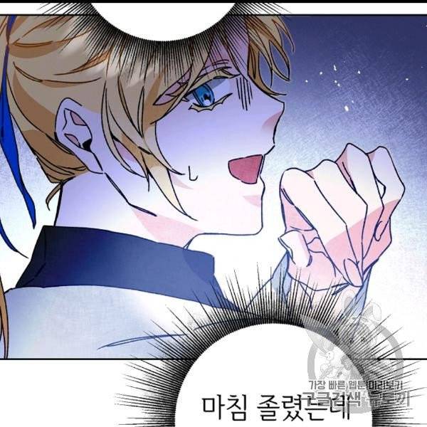 소설 속 악녀 황제가 되었다 34화 48