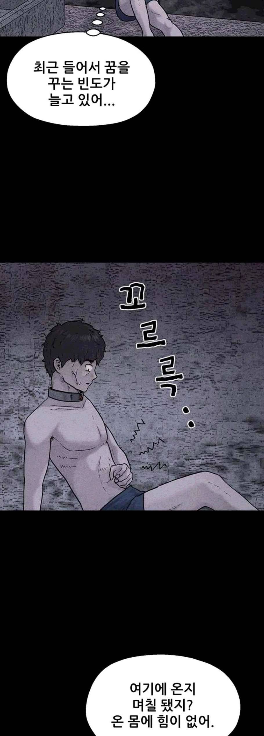 신상 미스터리 44화 인간 사육 2 8