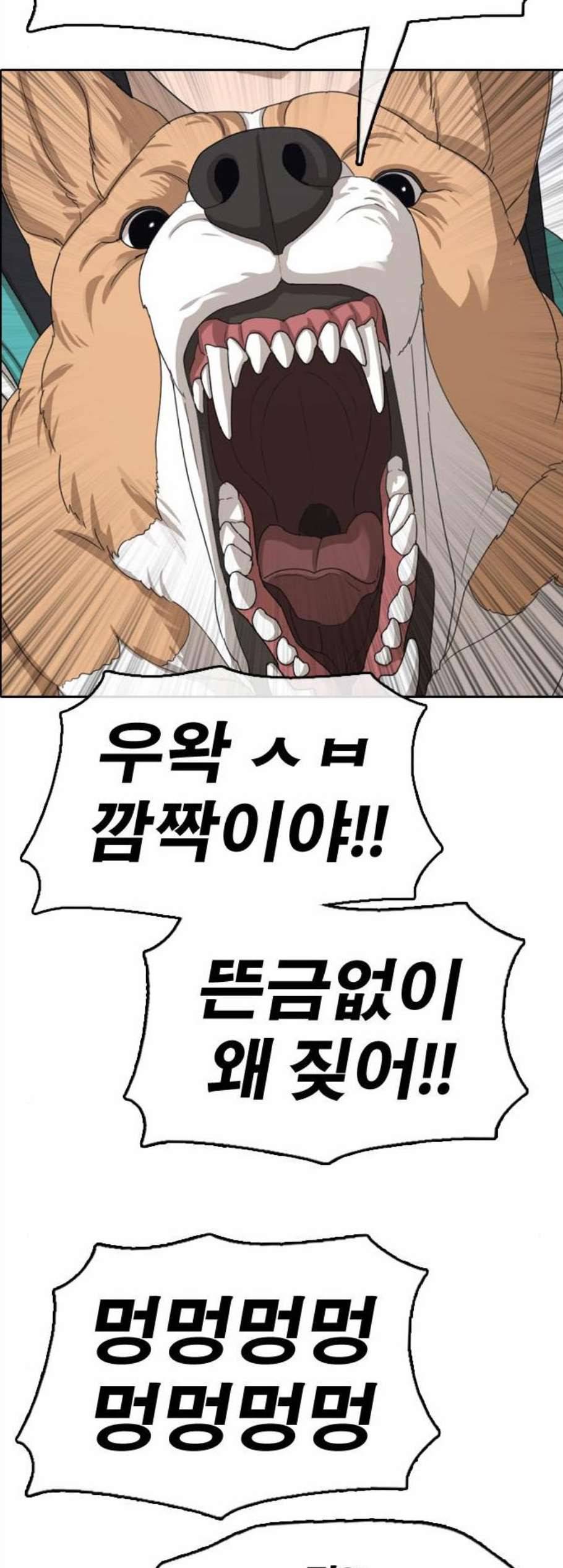 프리드로우 364화 한태성의 집과 가족 2 47
