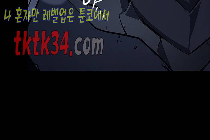 나 혼자만 레벨업 129화 27