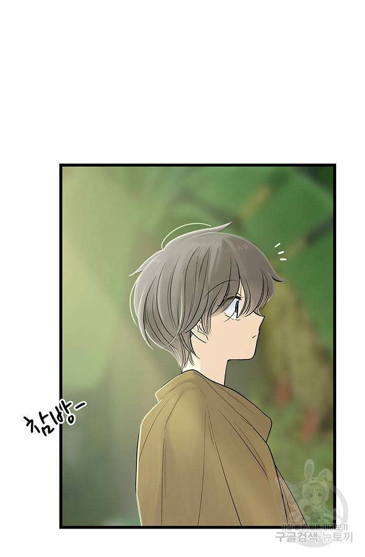 토템의 영역 11화 19