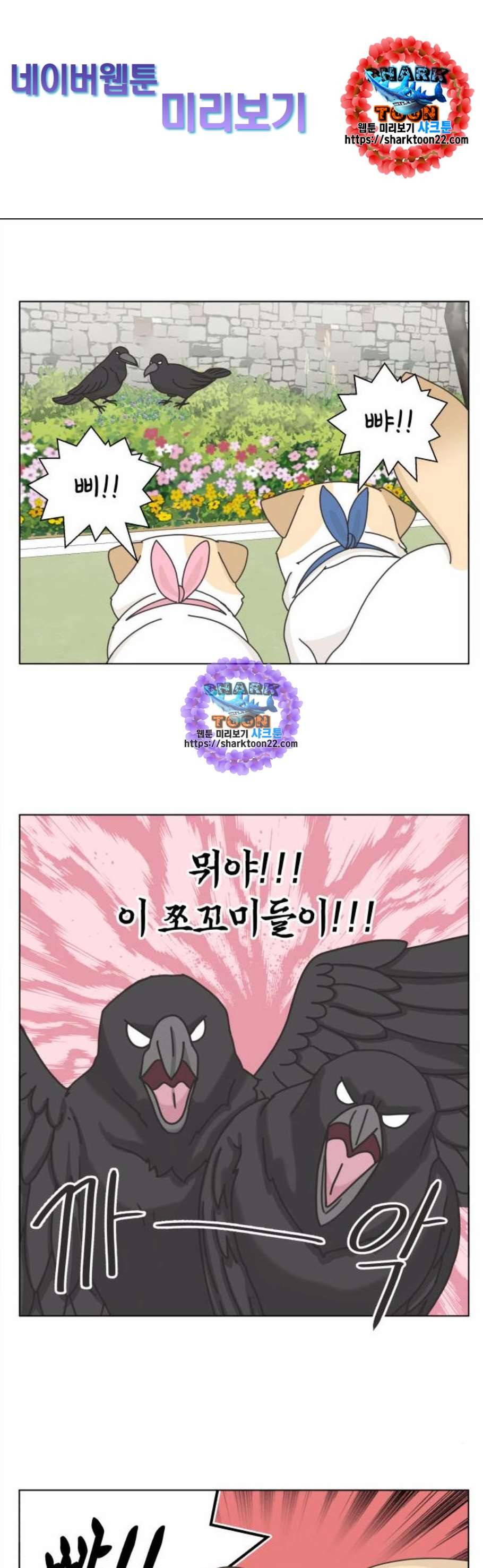 개를 낳았다 시즌2 33화 1