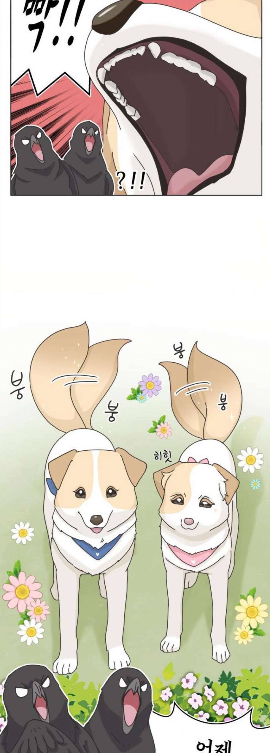 개를 낳았다 시즌2 33화 2