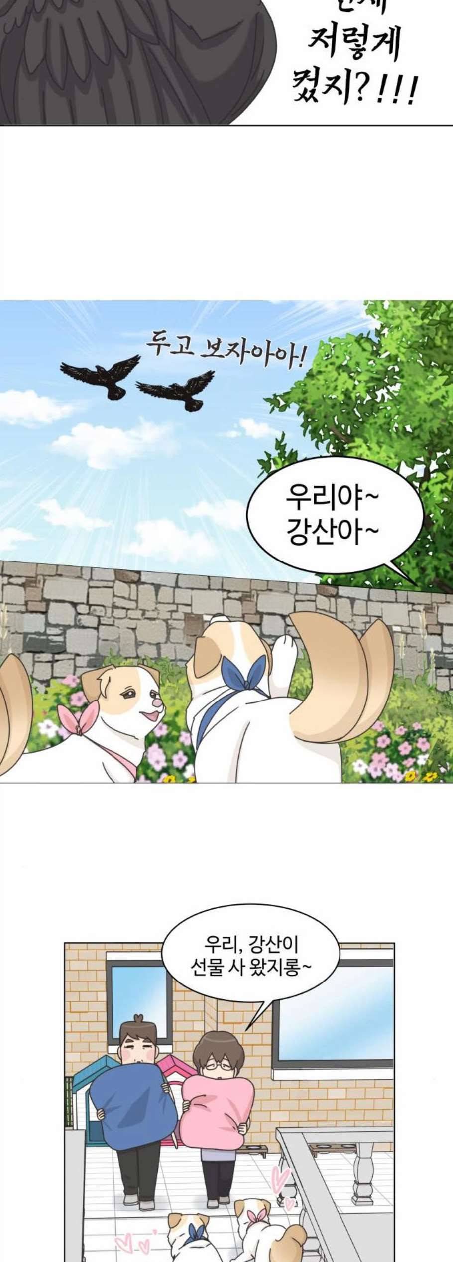 개를 낳았다 시즌2 33화 3