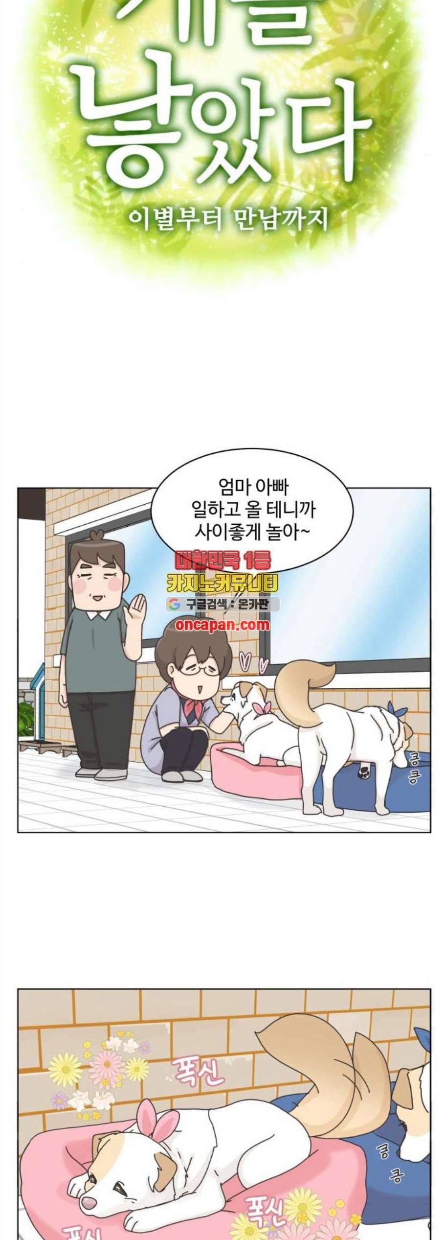 개를 낳았다 시즌2 33화 5