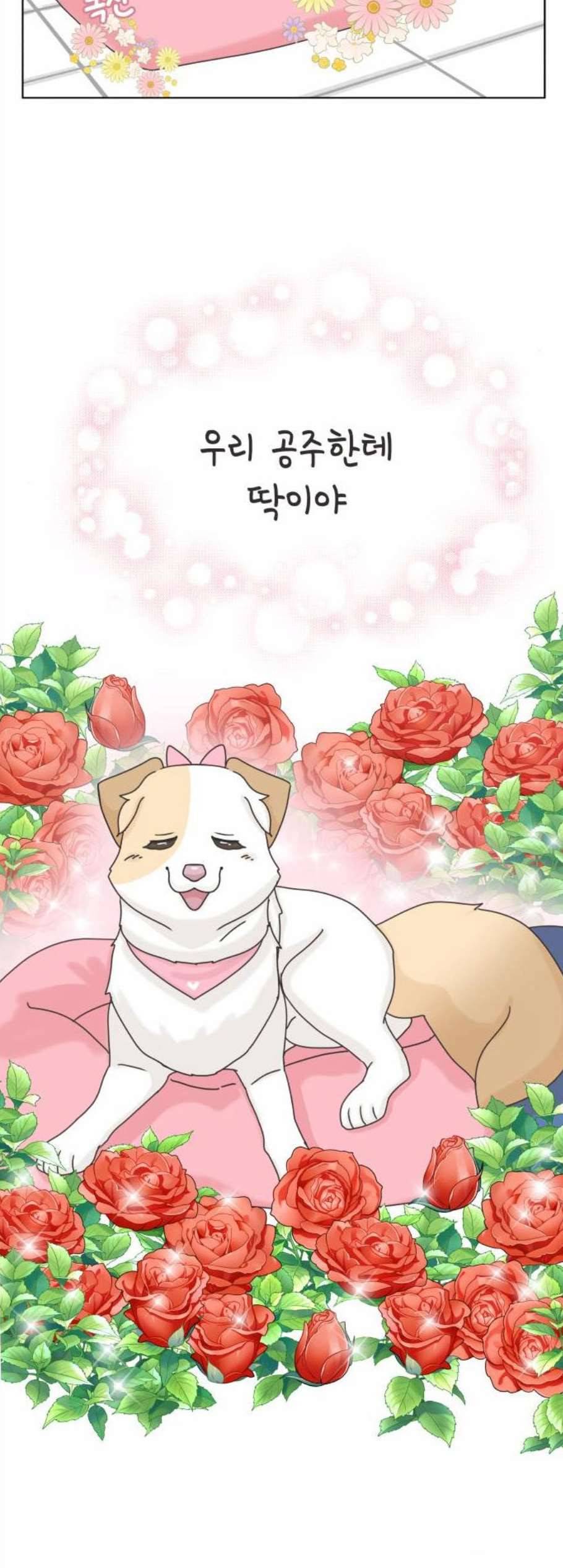 개를 낳았다 시즌2 33화 6