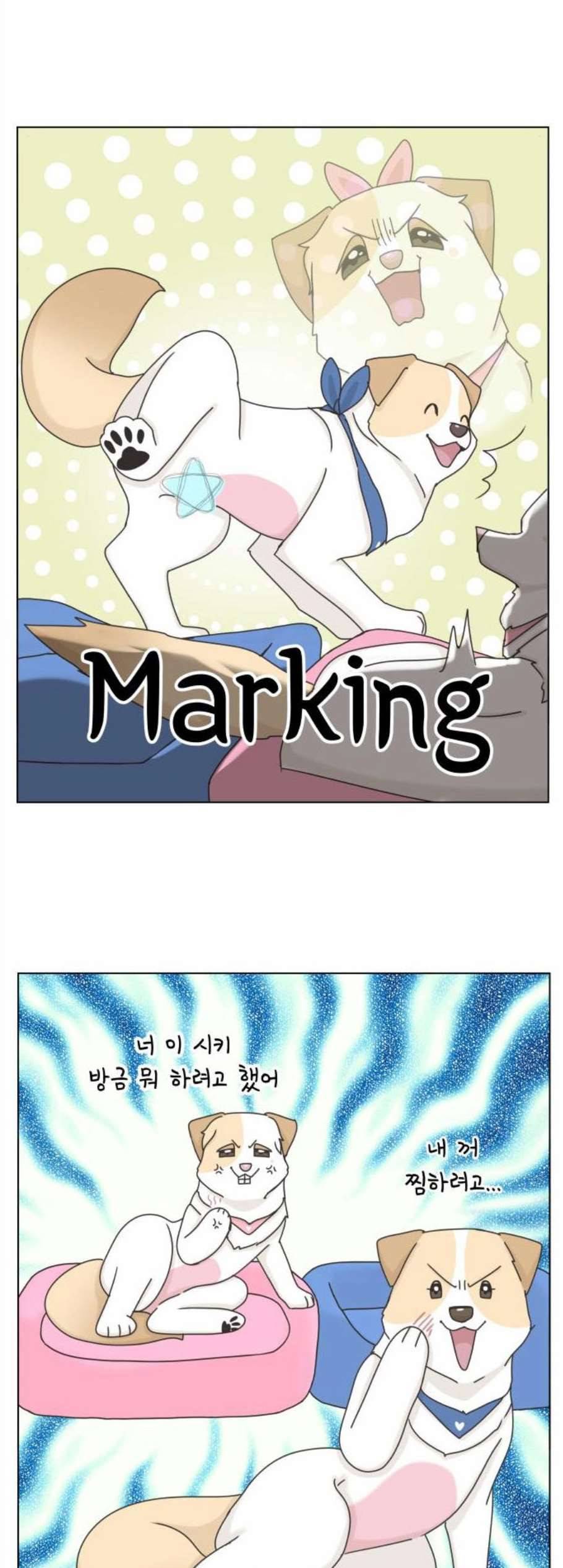 개를 낳았다 시즌2 33화 7