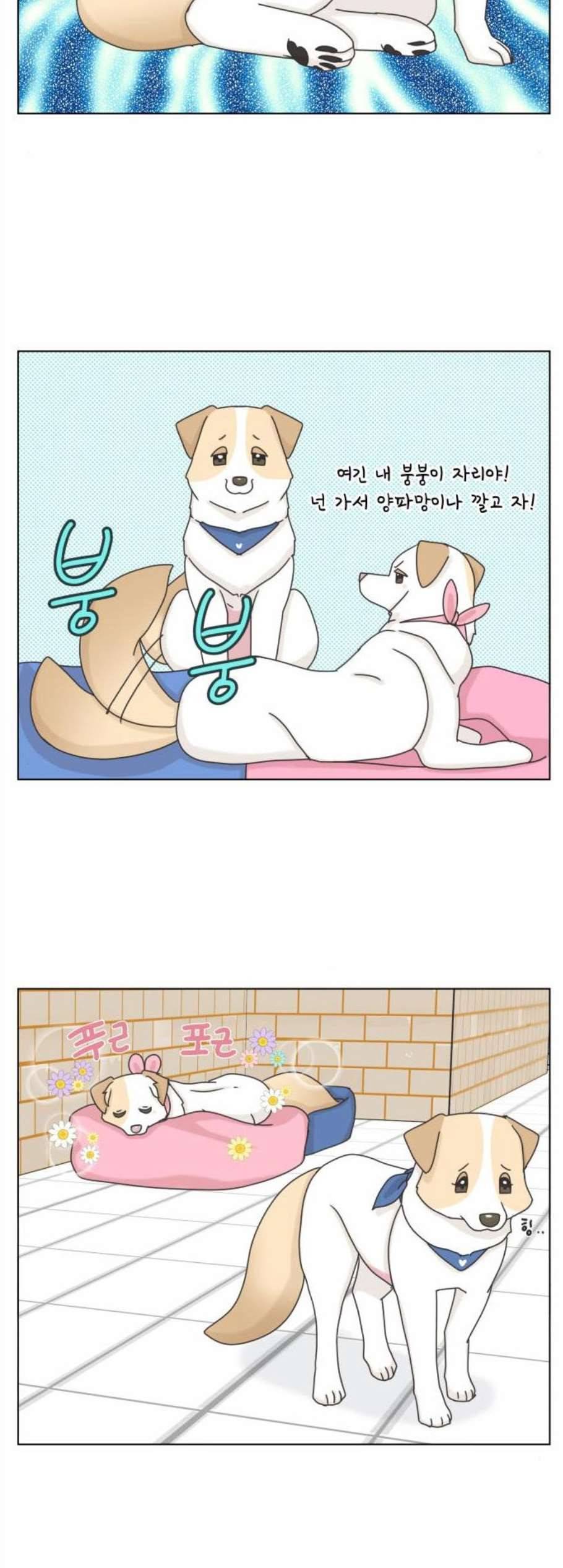개를 낳았다 시즌2 33화 8