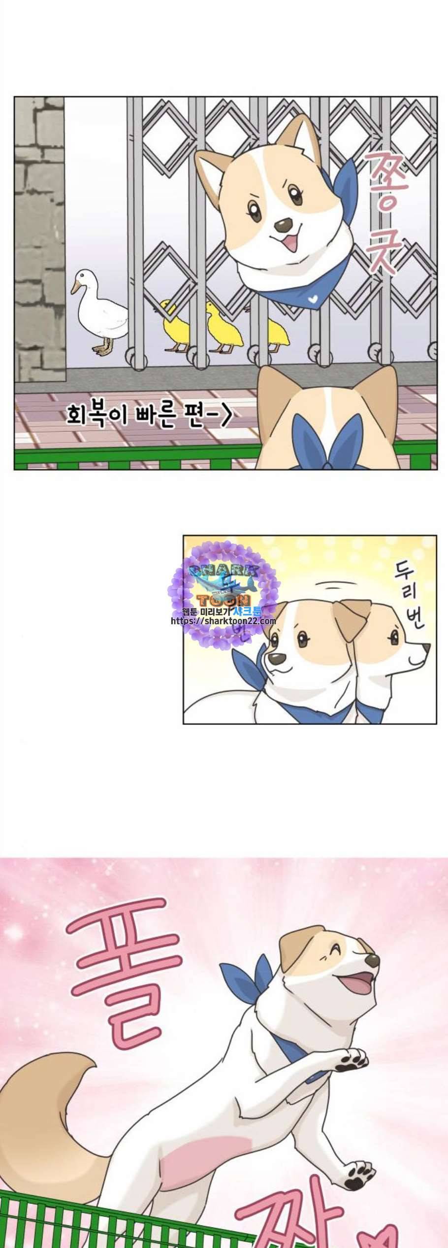 개를 낳았다 시즌2 33화 9