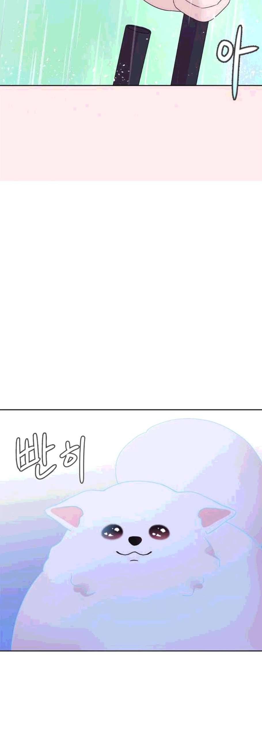 너에게만 보이는 72화 완결 6