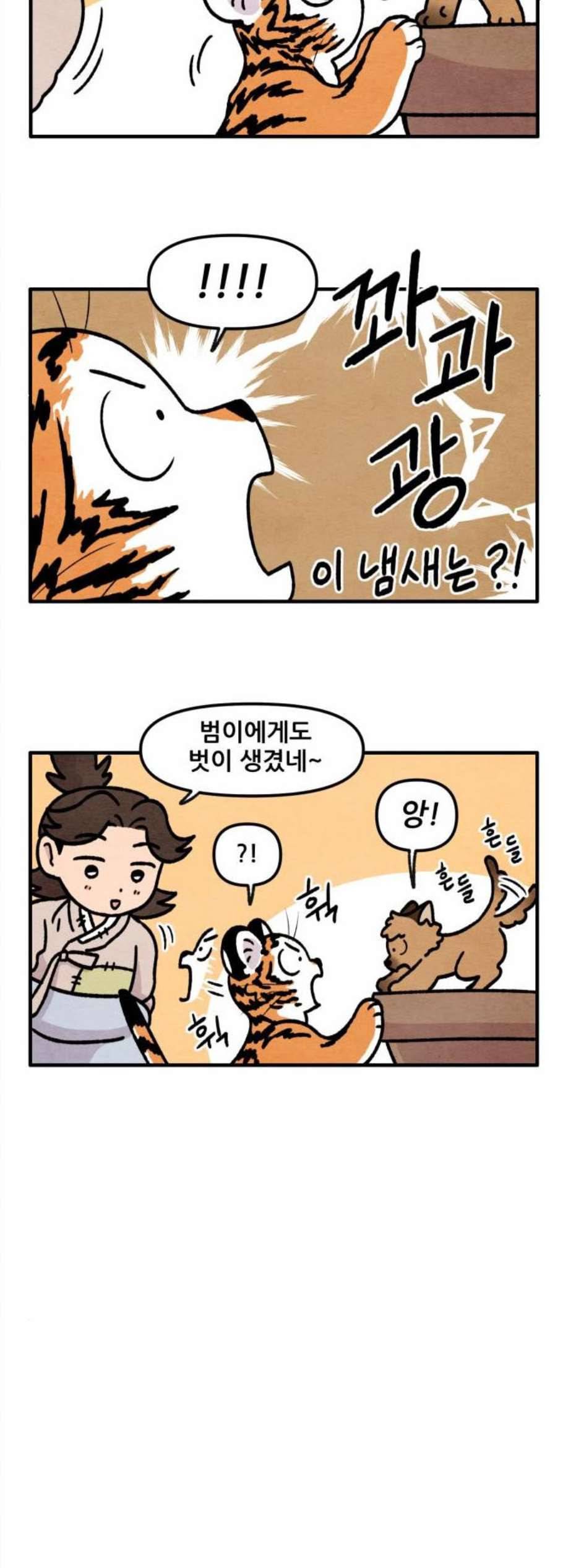 범이올시다 37화 8