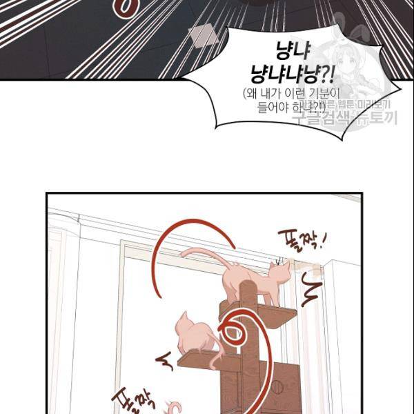 묘한 인생 17화 12