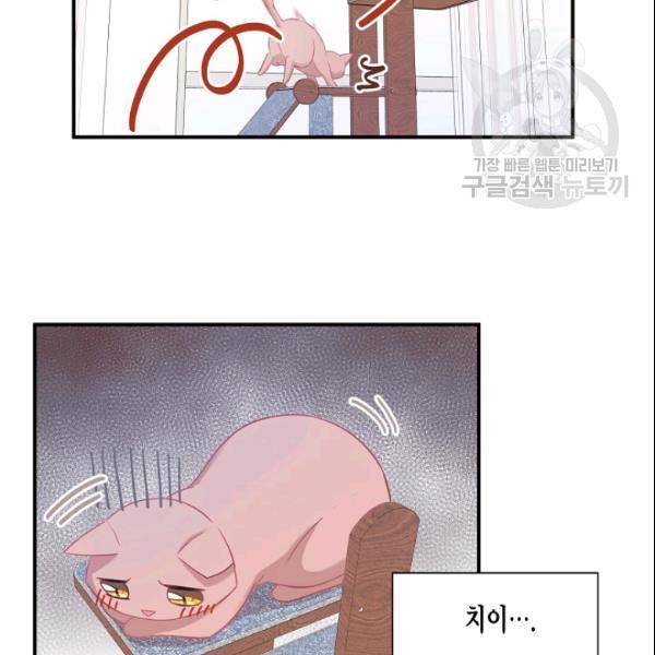 묘한 인생 17화 13
