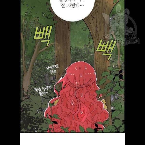 남주의 첫날밤을 가져버렸다 38화 13