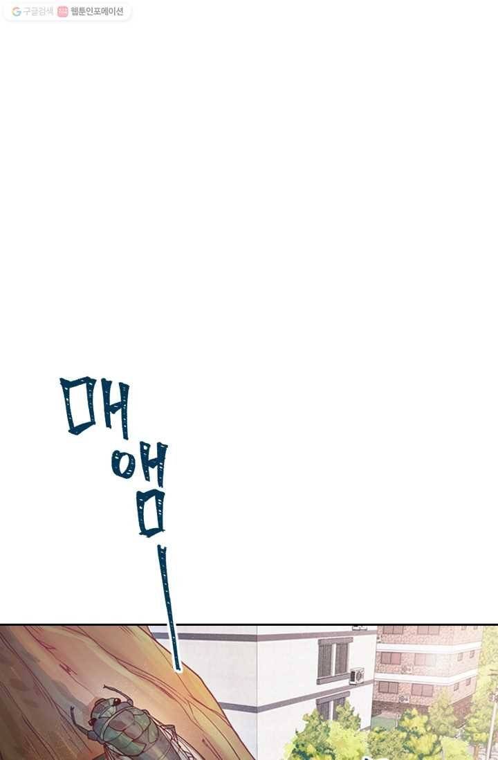 박씨가 없어서요 1화 1