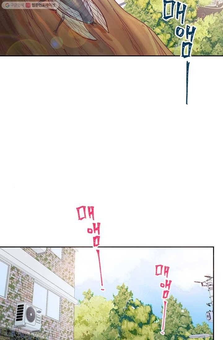 박씨가 없어서요 1화 2